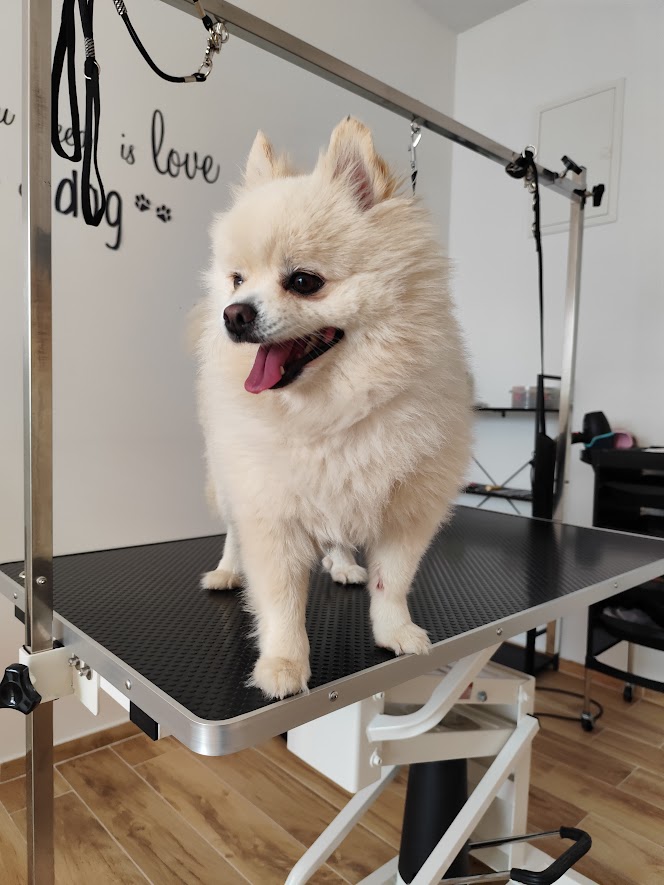 whatsapp image 2025 09 28 at 19.30.43 (1)