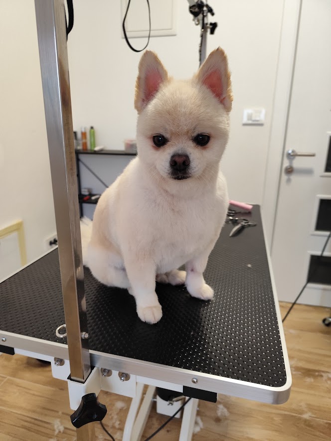 whatsapp image 2025 09 28 at 19.30.43 (2)