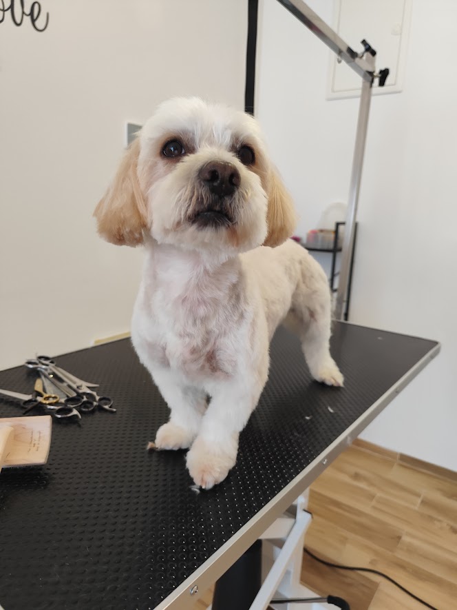 whatsapp image 2025 09 28 at 19.30.44 (1)